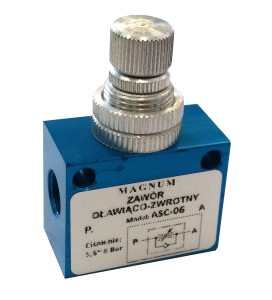 Zawór dławiąco zwrotny, 2x GW1/8